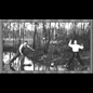 thumbnail Patineurs sur un étang gelé