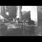 thumbnail Attelage sous viaduc (bis)